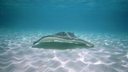 Sting Ray City 2. Canon Elph Sport. by Chris Lawford 